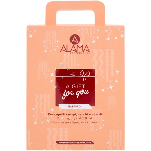 Alama professional Anti Frizz Gift Box poklon set anti-frizzy Slike