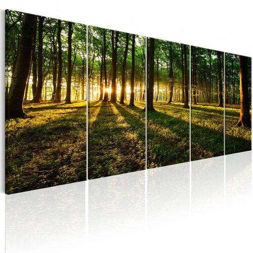  Slika - Shade of Trees I 200x80 Slike