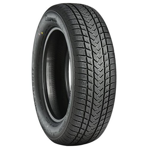 Gripmax Zimska 235/60R20 108H SUREGRIP eWINTER XL - Skladi&amp;scaron;če 5 (Dostava 5 delovnih dni) Slike