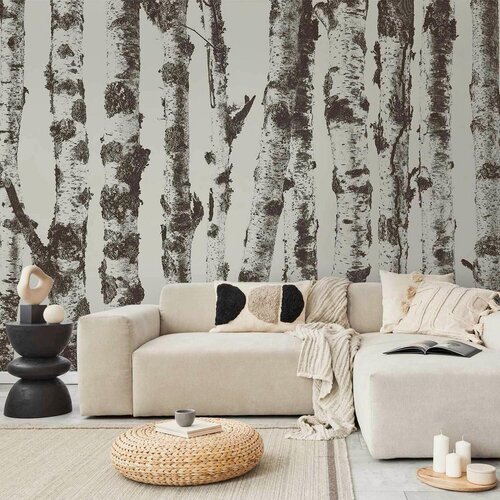Artgeist Fototapeta Stately Birches, 100x70cm Slike