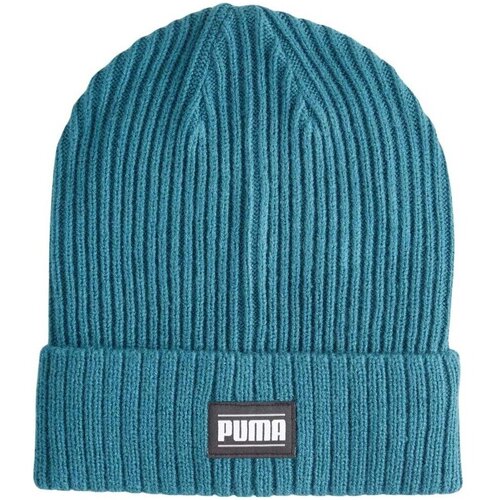 Puma Kape 02403811 Modra Cene