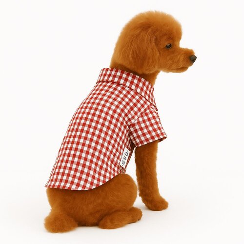 Paws & Whiskers Odelo za pse Redcheckered, Crveno Cene