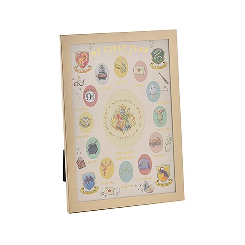 Widdop &amp;amp; Co. Harry Potter - Foto ram - Harry Potter, Harry Potter Charms, My First Year Slike