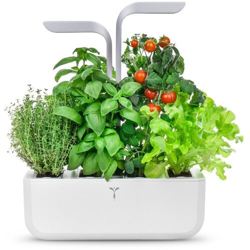  Veritable&reg; SMART Arctic White Kučni Vrt Cijene
