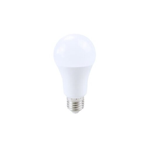  Rabalux LED sijalica SMD-LED 79040 Cene