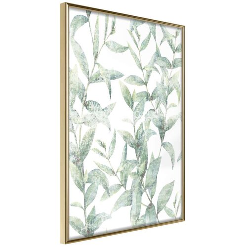  Poster - Sheer Batiste 30x45 Cijene