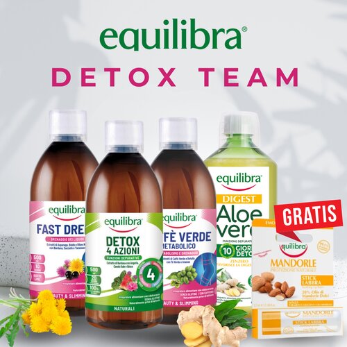 Equilibra Box Detox Team Cene