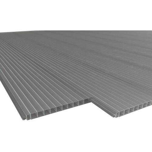  Panel z votlo komoro (250 cm x 20 cm x 16 mm, Polikarbonat, Antracit) Cene