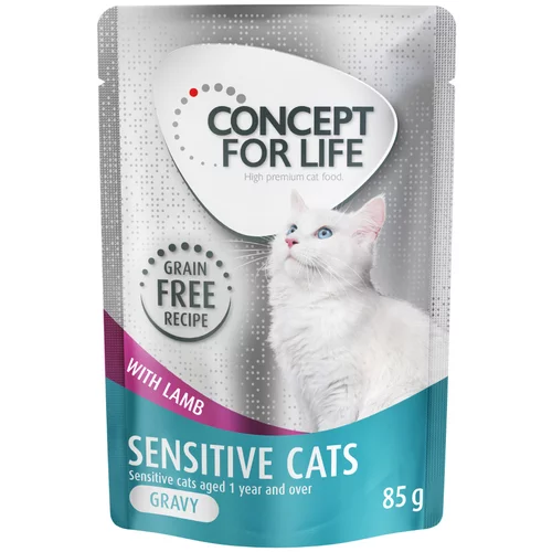 Concept for Life Sensitive Cats jagnjetina v omaki brez žitaric - 12 x 85 g