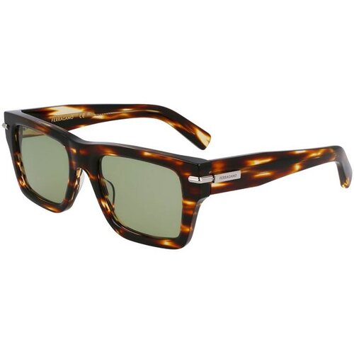 Salvatore Ferragamo Sončna očala SF2033S Kostanjeva Slike