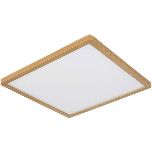 Globo 41563-24MM - LED prigušiva plafonska svetiljka SAPANA LED/24W/230V IP44 Cene