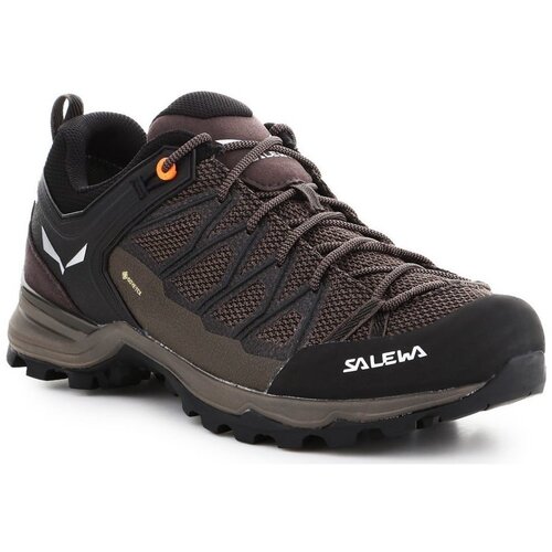 Salewa Mtn Trainer Lite Gtx Smeđa Slike