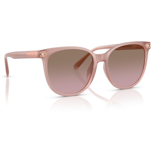Coach Coach Cw428 Naočare za sunce HC 8414BD 583914 Slike