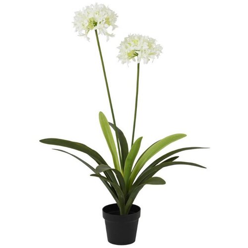 Ambia Home UMETNA RASTLINA 80/105 cm Slike