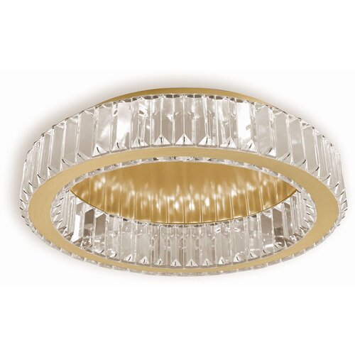 Toolight Luster APP1722-C 50cm Brush Gold Slike