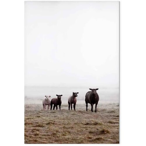  Slika - Friends in the Morning (1 Part) Vertical 80x120 Premium Print Slike
