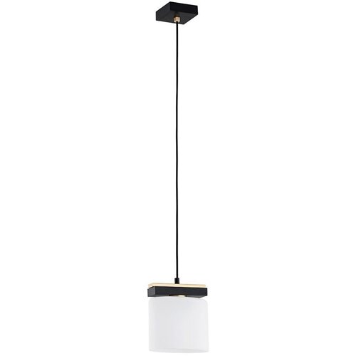 Argon 8276 - Luster na sajli CANOA 1xE27/15W/230V crna Cene