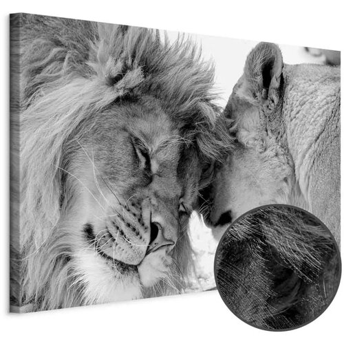  Slika - Lion\'s Love 30x20 Premium Print Cijene