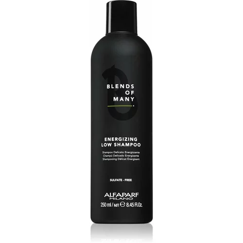 Alfaparf blends of many energizing poživljajoč šampon za oslabljene lase 250 ml za moške