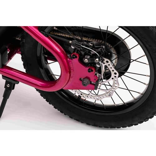 Ramiz Električno motorno kolo BAIGOR 23 Pro 250 W roza Slike