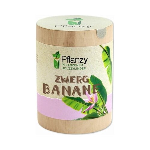 Feel Green Pflanzy &amp;quot;Pritlikava banana&amp;quot; Slike