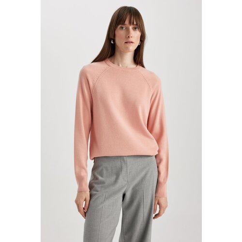 Defacto Regular Fit Crew Neck Sweater Slike