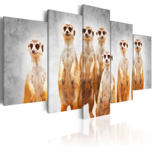  Slika - Meerkats 100x50