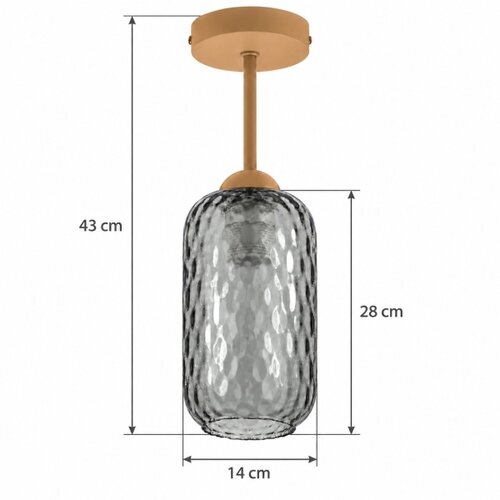 Brilagi LED prislonjeni plafonski luster R GLASS 1xE27/60W/230V prečnik 14 cm bež/dimno siva Slike