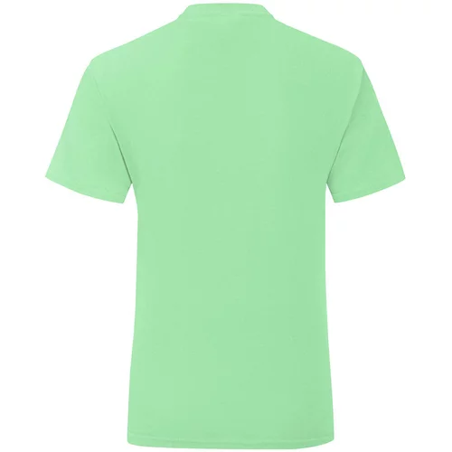 Fruit Of The Loom Iconic Girls' Mint T-shirt