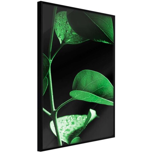  Poster - Calm After the Storm 30x45 Slike