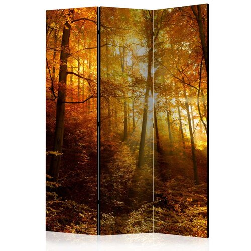  Paravan u 3 dijela - Autumn Illumination [Room Dividers] 135x172 Slike