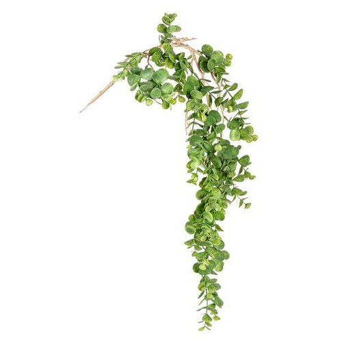 Dekorativna VISEĆA BILJKA DISCHIDIA ZELENA 92 CM BIZZOTTO Cene