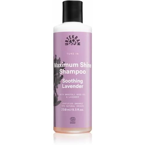 Urtekram Soothing Lavender umirujući šampon za sjajnu i mekanu kosu 250 ml