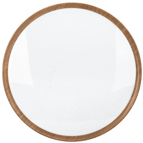 Aigostar LED plafonsko svetlo LED/24W/230V 3000K prečnik 38,3 cm Slike