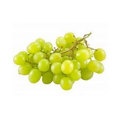 Nepoznato Belo grožđe 1kg Cene