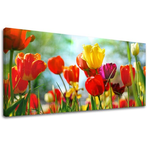  Slike na platnu cvetje panorama KV145E13 (moderne slike na) Slike