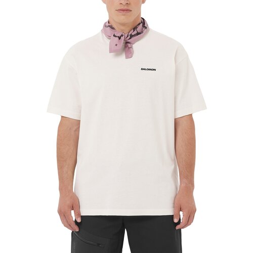 Salomon Chest Logo Relaxed majica Cene