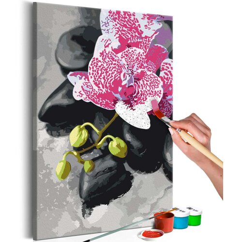  Slika za samostalno slikanje - Pink Orchid 40x60 Cijene