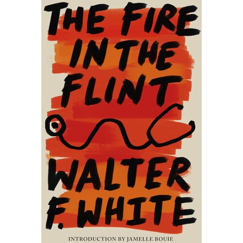 Hachette Walter F White - The Fire in the Flint Slike