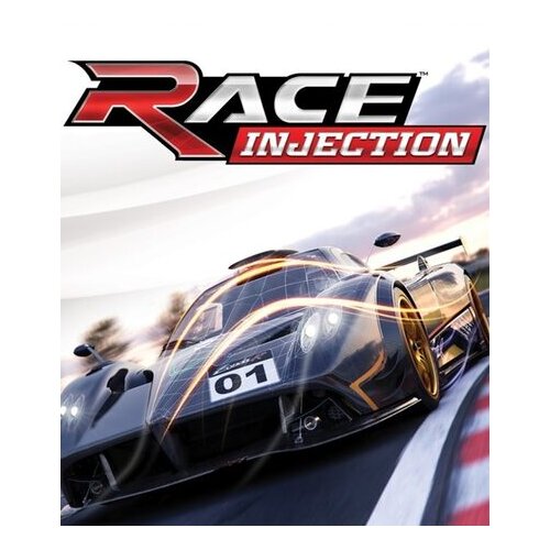  Race Injection Steam Key GLOBAL Cene
