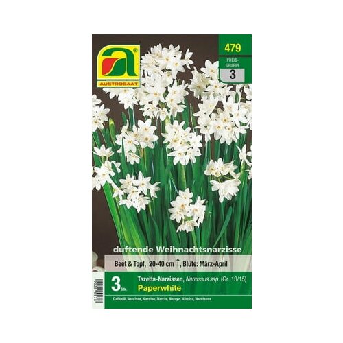 AUSTROSAAT Narcise Tazetta &ldquo;Paperwhite&rdquo; Cene