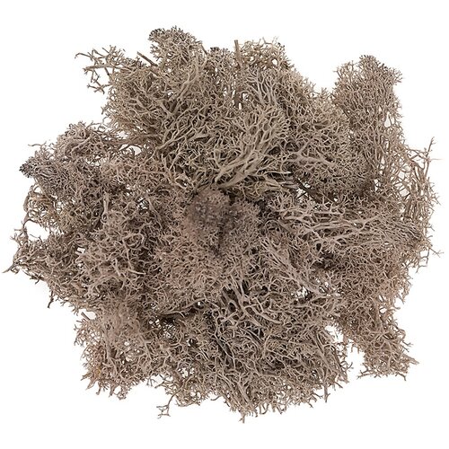  Prirodna mahovina 30 g | izaberi nijansu Slike