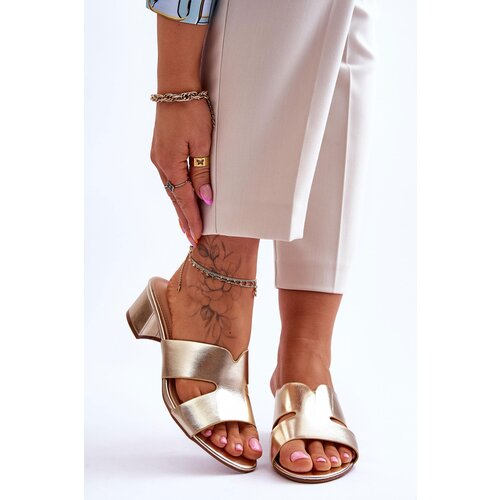Kesi Classic Leather Slippers with Low Heel Gold Miley Gold Slike