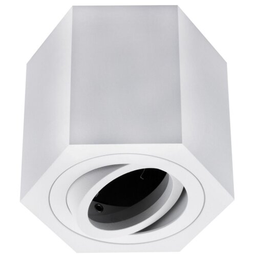  SPOT svetlo ARENO 1xGU10/30W/230V belo Slike