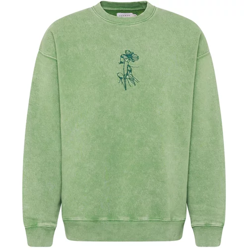 TOPMAN Sweater majica svijetlozelena / tamno zelena