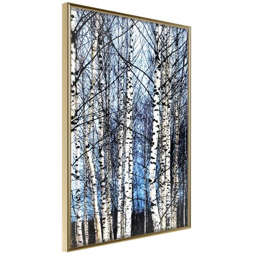  Poster - Winter Birch Trees 20x30 Slike