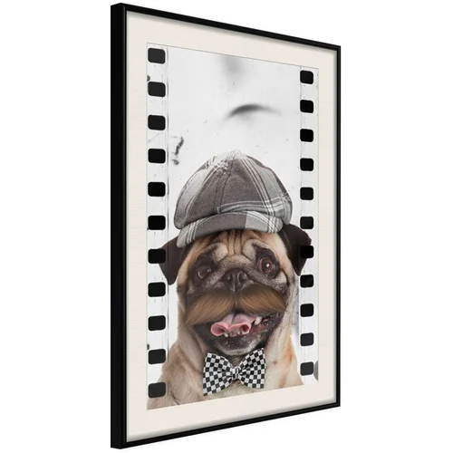  Poster - Dressed Up Pug 20x30