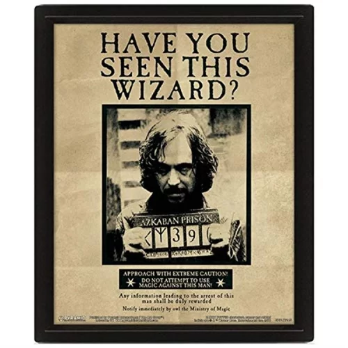 Pyramid International Harry Potter Sirius Black 3d lentikularni plakat 25 cm x 20cm x 1,3cm v okvirju škatle - uradno blago, (20834485)