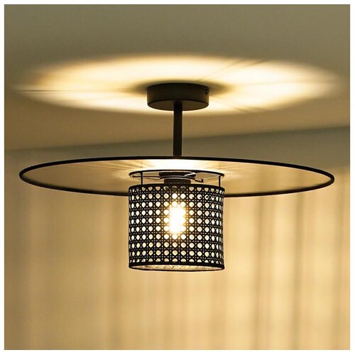  Duolla - Plafonski luster TOKYO RATTAN 1xE27/15W/230V, prečnik 50 cm, crna/srebrna Cene