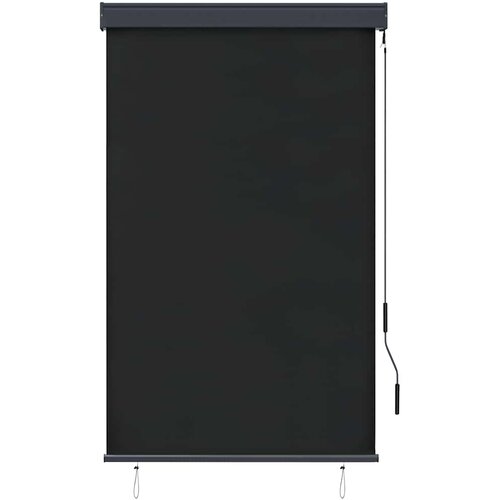 Vanjska roleta 100 x 250 cm antracit Slike